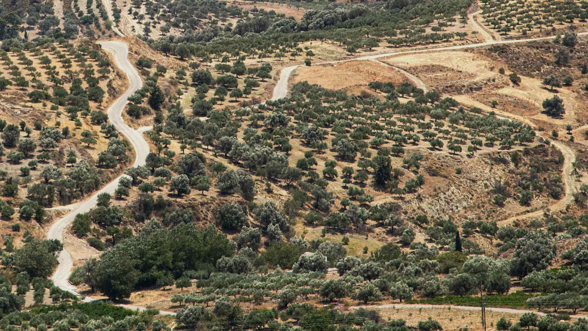 LPIS Greece