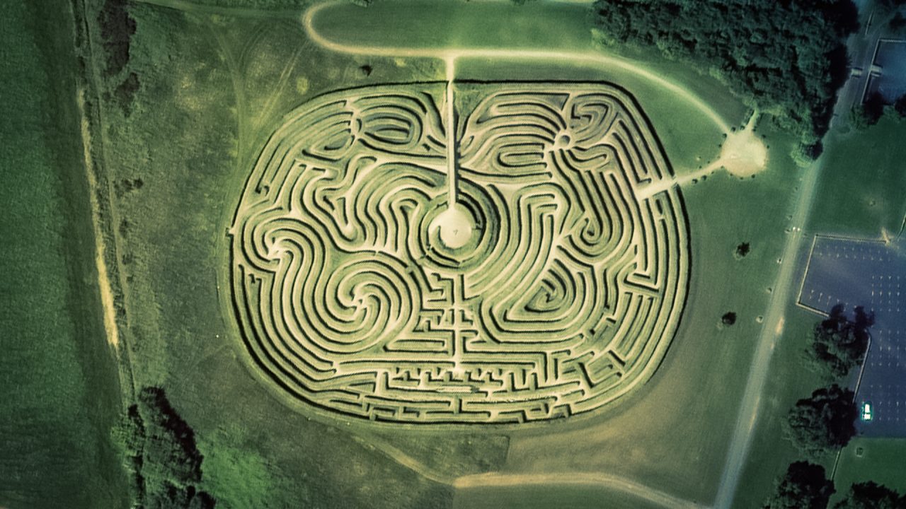 Castlewellan maze-30cm-2-2 Castlewellan maze-30cm-2-2