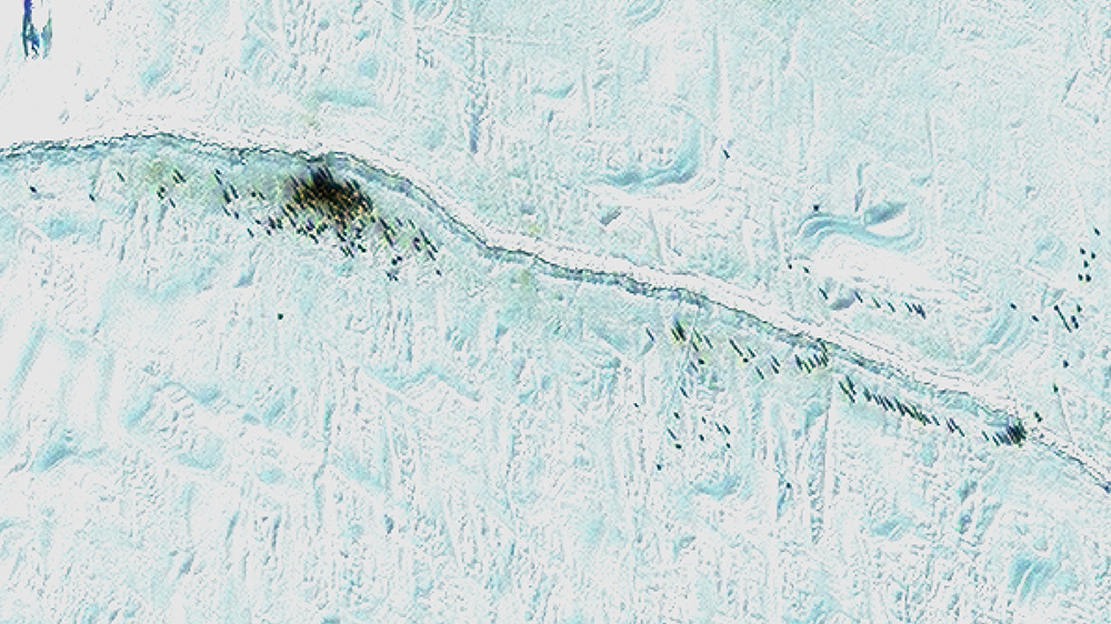 Satellite Image Penguins