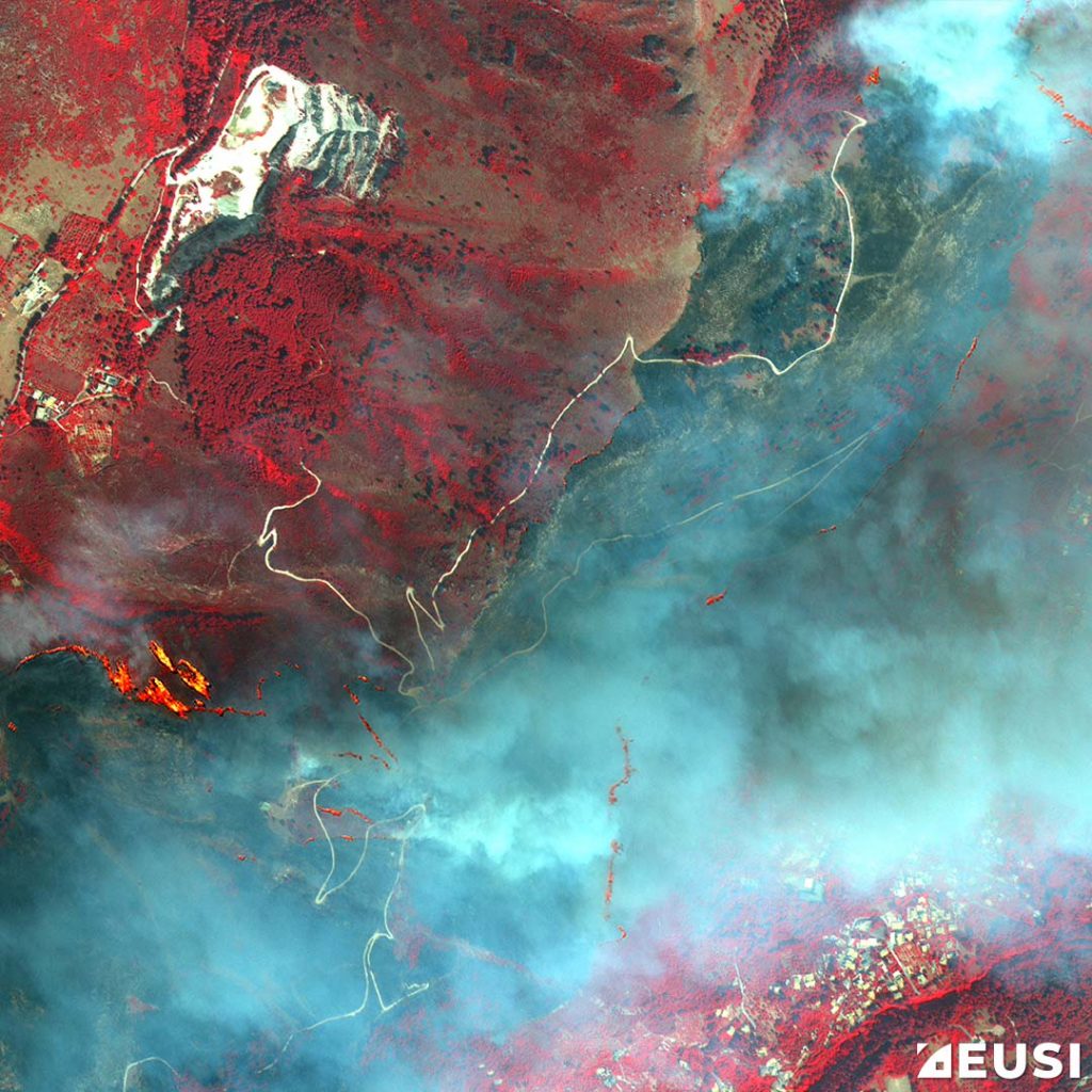 4-Band Capability (NIR1, R, G) Healthy vegetation is red, burnt vegetation is black/grey, and the smoke is slightly thinner and blue/green.