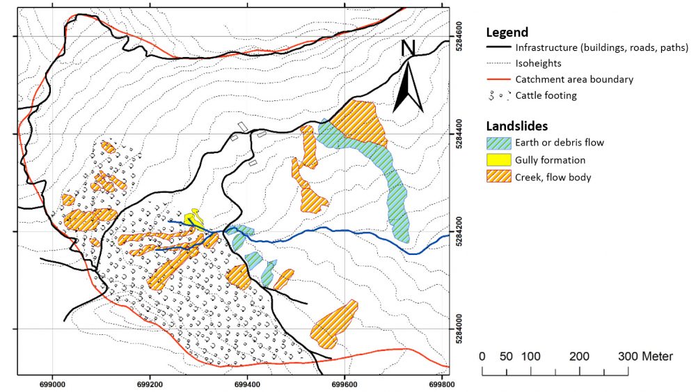 Mapping results of the simplified geomorphology in Upper Scheibengraben. earth and debris flows, creep and flow, cattle tread and a gully formation can be seen.