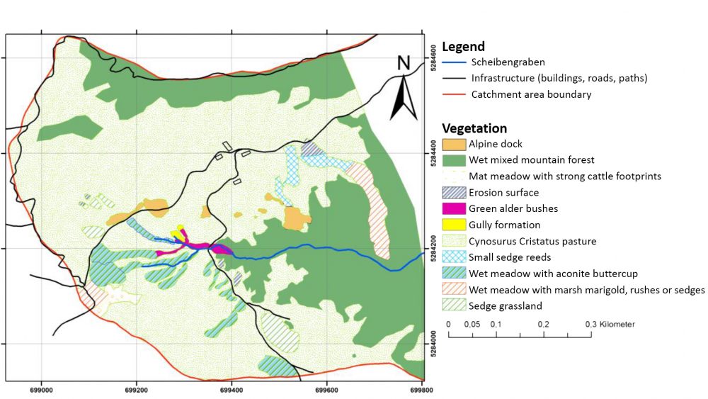 Results of the vegetation mapping of the Upper Scheibengraben. The project area has been surveyed for waterlogging sites and wet soil and vegetation complexes.