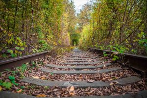 a-railway-in-the-autumn