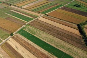 Aerial view of a farmland