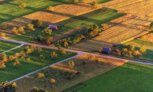 farmland