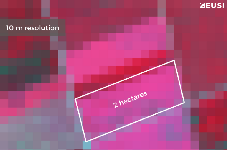 At 5 m resolution, size estimates are slightly more accurate. You can notice differences in vegetation but can’t identify them. Satellite image © 2024 Maxar Technologies Provided by European Space Imaging