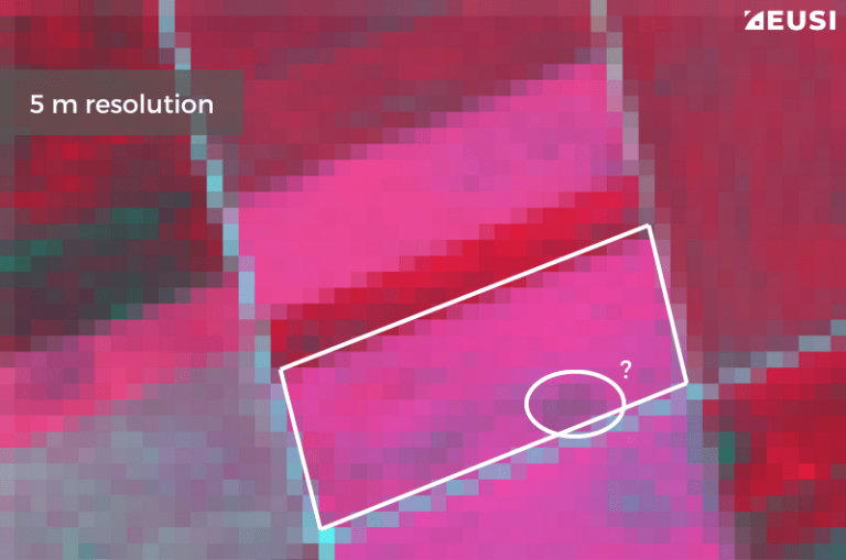 An 8-band image displaying NIR1, Red and Green at 10 m resolution. It allows you to make rough estimates about the size of fields. Satellite image © 2024 Maxar Technologies Provided by European Space Imaging