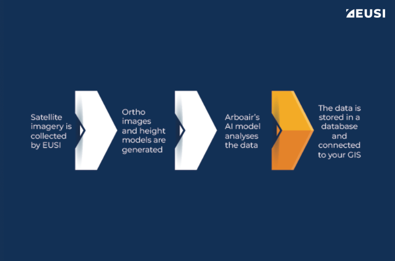 Infographic illustrating the process of EUSI and Arboair collaboration
