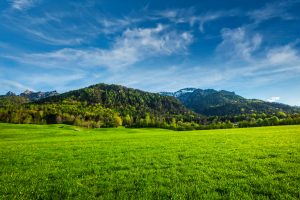 Alpine meadow in Bavaria, Germany