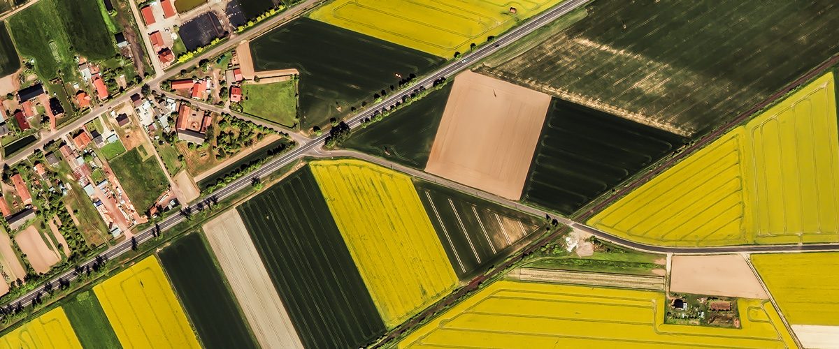 Post-Header-Poland-fields-agriculture