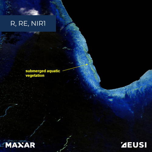 Source of the images: Coastal Applications of WorldView-2 High Resolution Multi-Spectral Imagery by G. Marchisio, G. Miecznik, F. Pacifici, C. Padwick