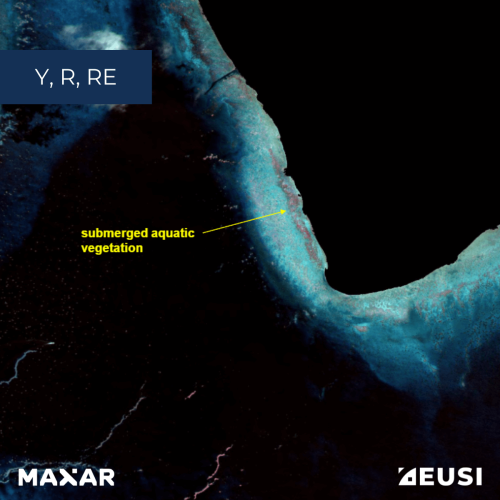 Source of the images: Coastal Applications of WorldView-2 High Resolution Multi-Spectral Imagery by G. Marchisio, G. Miecznik, F. Pacifici, C. Padwick