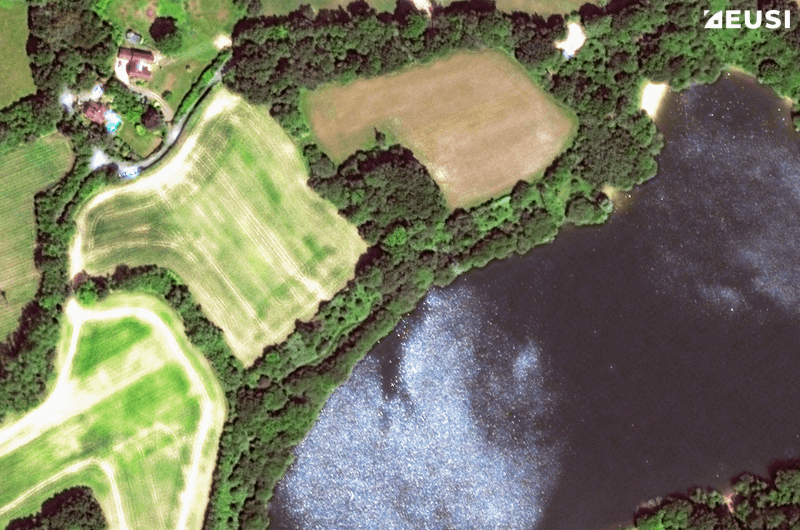 Satellite image of a river with vegetation on the banks