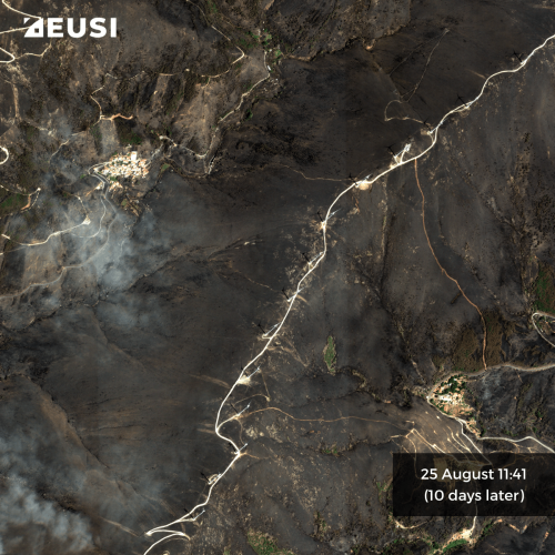 Very high resolution satellite image of fire damage on 25 August. The area around the village and road is visibly burnt.