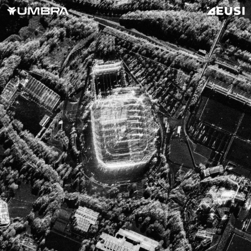 SAR image of a stadium