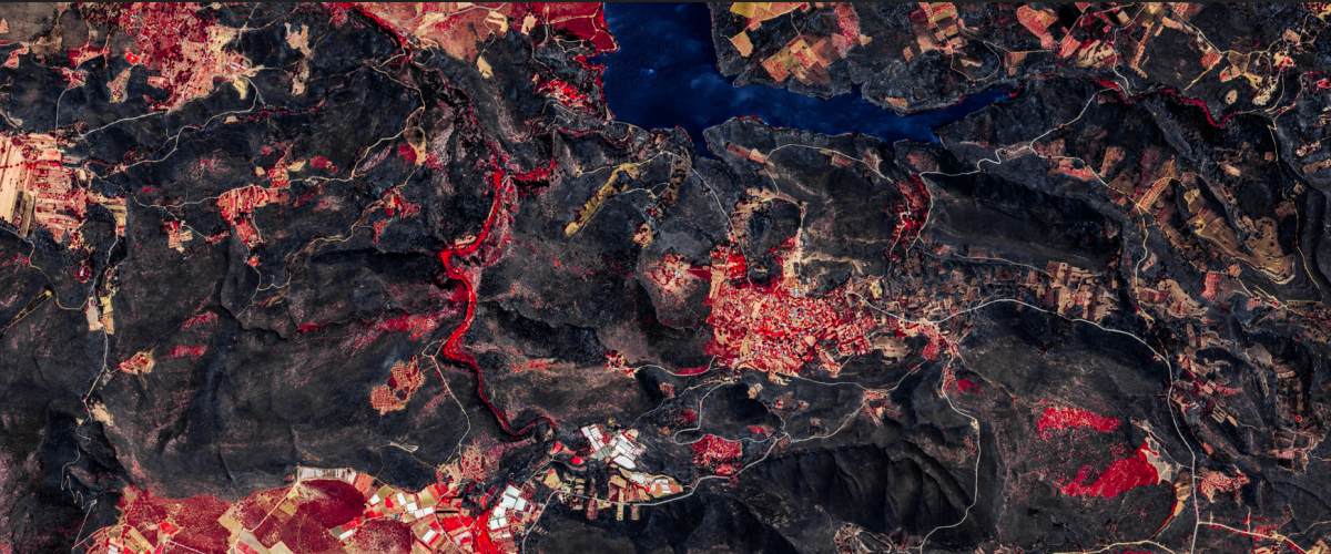 wildfire 30 cm hd