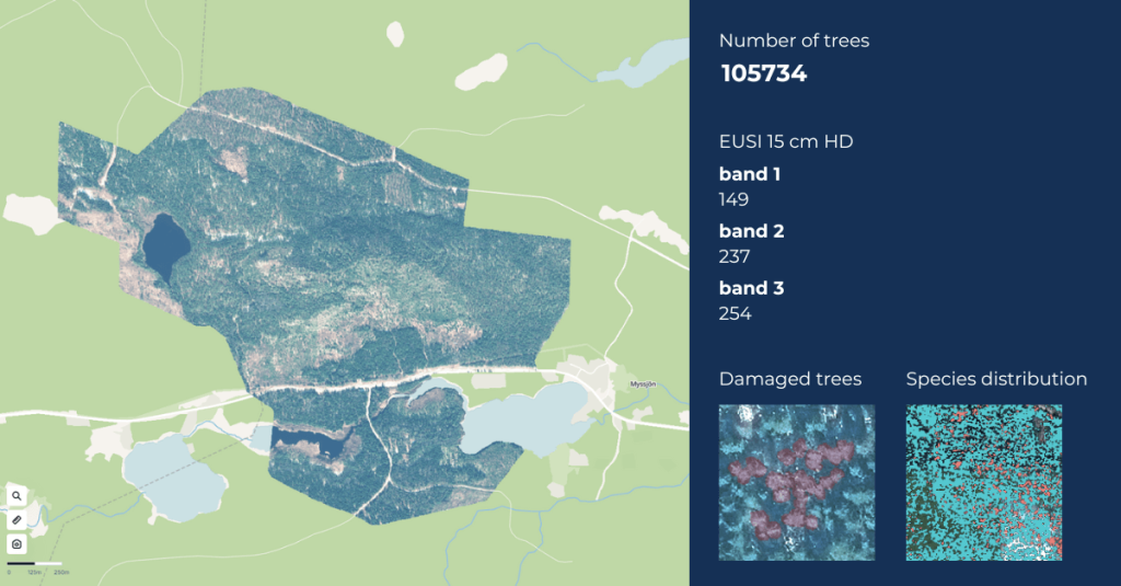 A 15 cm satellite image analysed by AI showing information about tree damage and species distribution in a forest