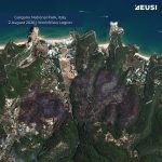 satellite image of a burn scar after a wildfire