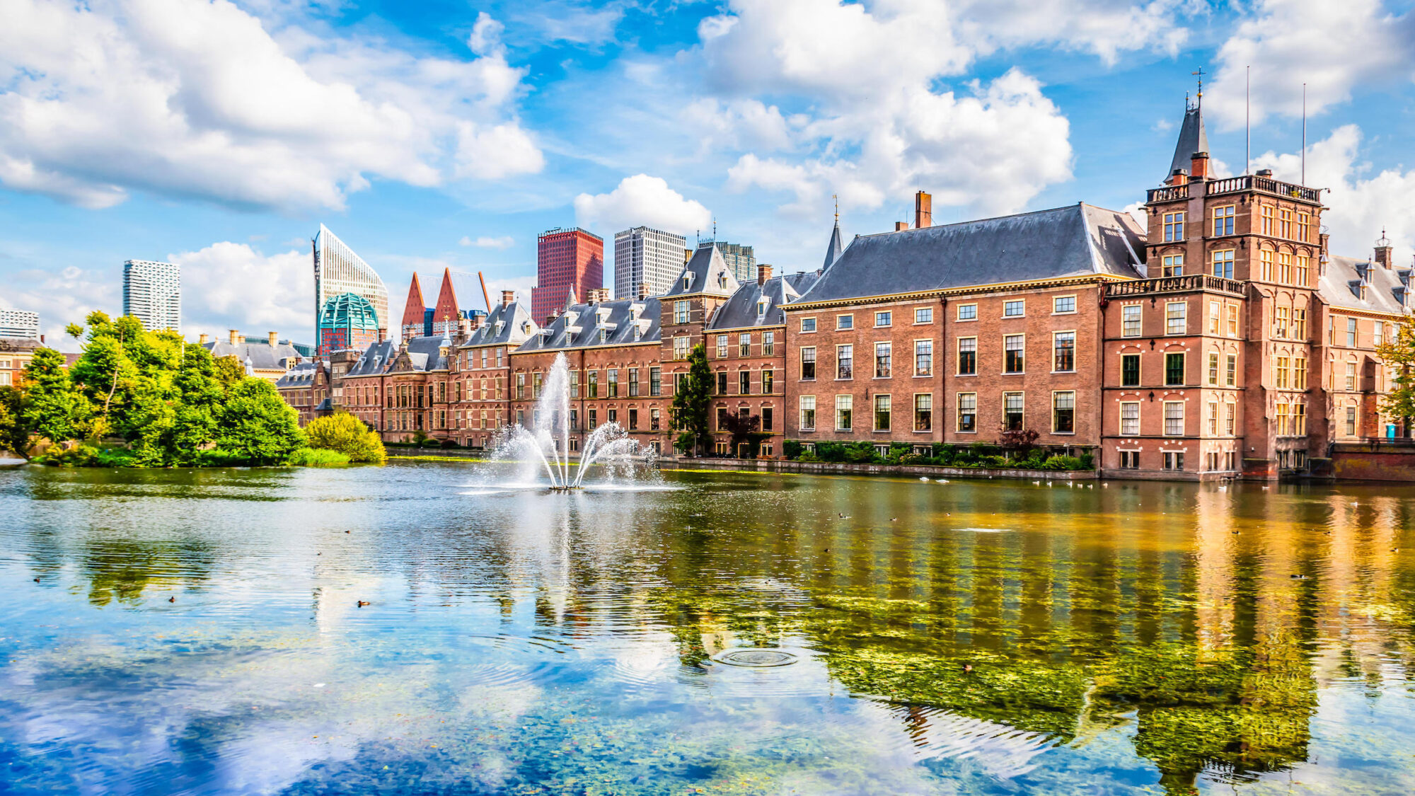the hague