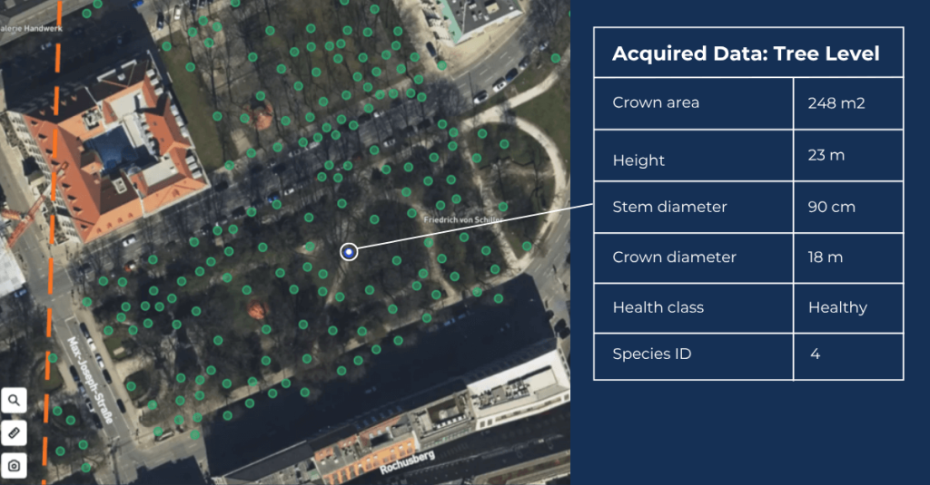 15 cm satellite image analysed by AI showing tree-level information such as crown area, tree height or tree health