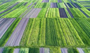 field from air