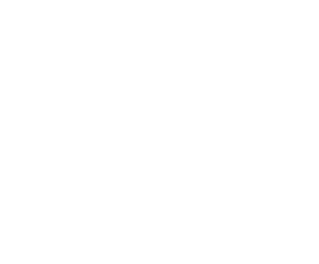 white DLR_Logo